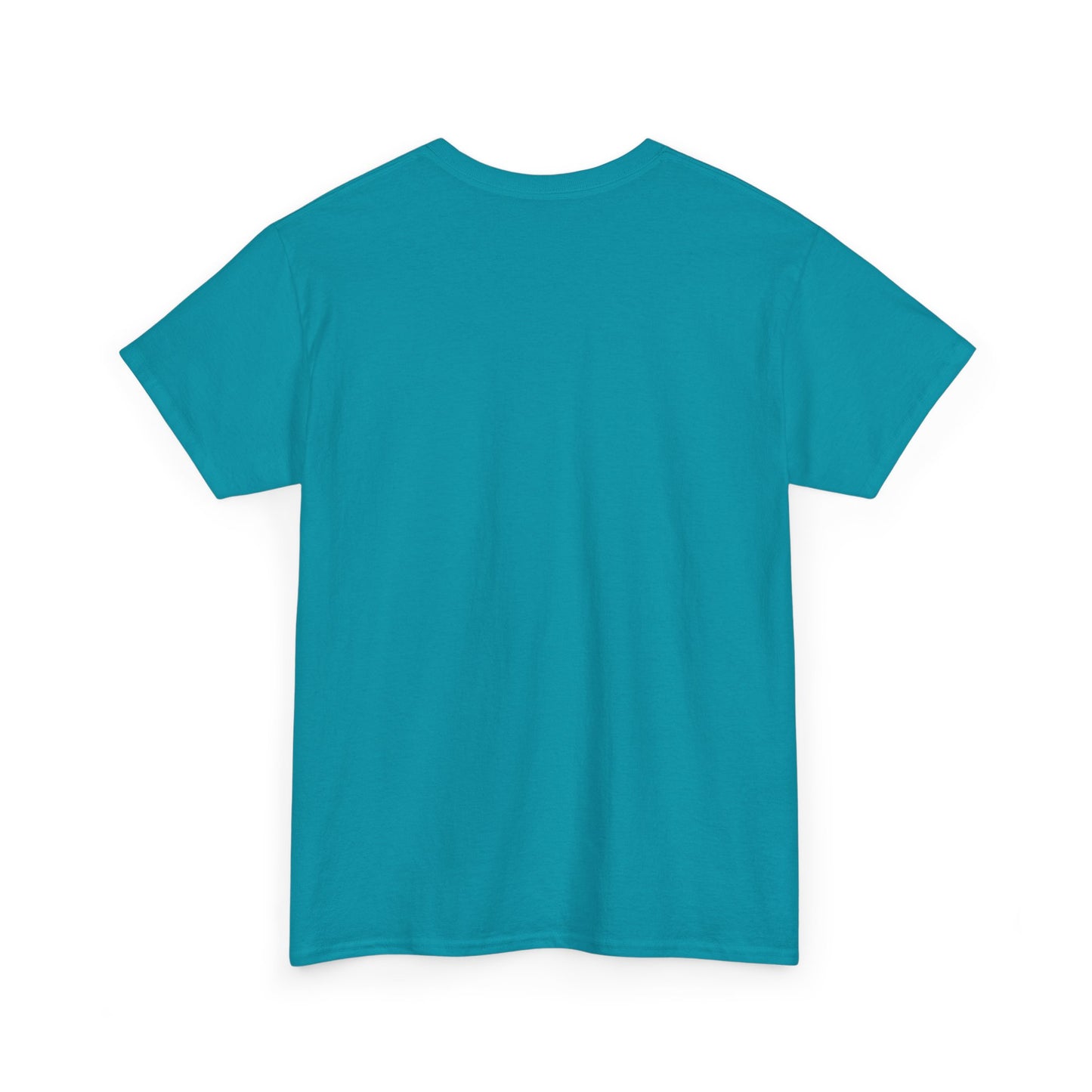 2025 Grand Prix Formula 1 Unisex Tee Shirt